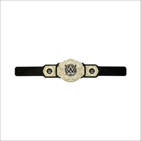 HYF18 WWE Gold Heavyweight Championship belt - Afbeelding 4
