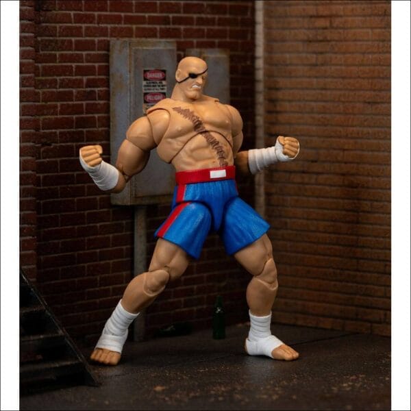 35171 Ultra Street Fighter II Sagat - Afbeelding 11